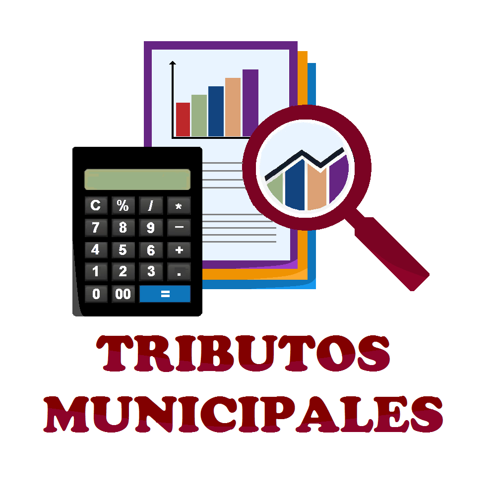 Logo de la Dirección de Tributos Municipales